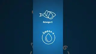 É hora de cuidar do bem-estar do seu Doguinho! #shorts