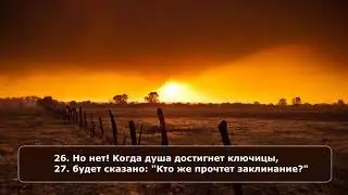 Mansoor Mohiddine  Сура Аль   Къийама