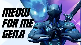 Overwatch 2: FORCING People To Meow For Nano