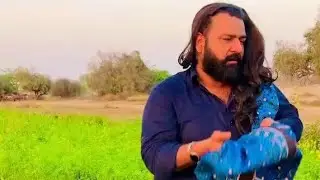 Jeevan Sultan TikTok Videos || Jeevan Sultan Funny TikTok || Jeevan Sultan Sial
