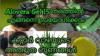 How to use alovera gel in 15 ways for skincare & haircare|Alovera uses in malayalam|Asvi