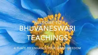 The Flow of Life and Spiritual Awakening