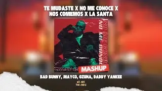 Bad Bunny, Jhay Cortez, Ozuna, Daddy Yankee, Tiago PZK - No Me Conoce (Remix)
