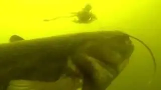 подсечка