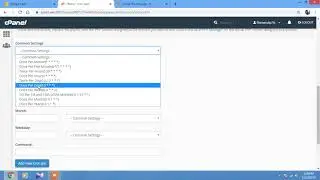Cron jobs settings in cpanel with CodeIgniter
