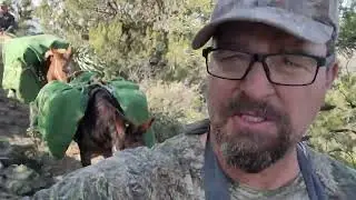 Packing Out & Deer Caping Tips for the Ultimate Adventure! 🌲🦌