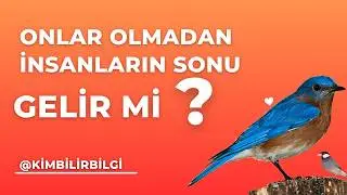 Serçeler Hakkında Bilmediğiniz 10 Şaşırtıcı Gerçek! 🐦 | Serçelerin Sırrı