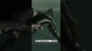 My second favorite colossi in the game #playstation #shadowofthecolossus