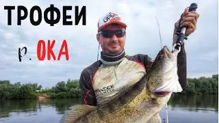 ✅р.Ока ● Трофейный судак ● Двухдневный трип на реке.