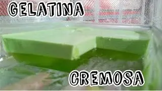 GELATINA CREMOSA 2 INGREDIENTES SEM LIQUIDIFICADOR - Maria na Cozinha