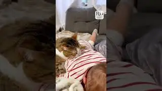 World's best babysitter!