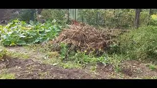 Мама -потрашитель