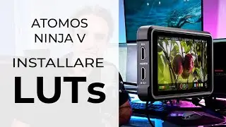 How to install and activate LUTs on Atomos Ninja