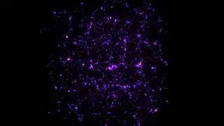 Cosmology Simulation 1