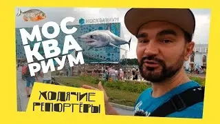 Самый крупный океанариум Москвы. Москвариум на ВДНХ. Ходячие Репортёры