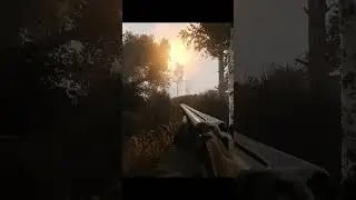STALKER Anomaly 