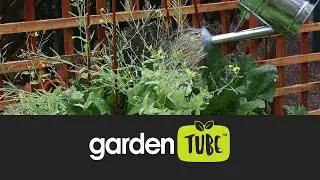 Rand Water: Waterwise plants for food gardening