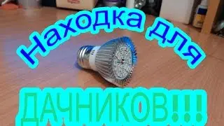 НАХОДКА ДЛЯ ДАЧНИКОВ!!! Лампа для выращивания рассады из Китая (полноспектральная лампа)