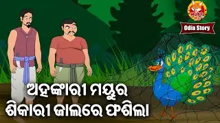 Ahankari Mayura Shikari Jalare Phasila- ଅହଙ୍କାରୀ ମୟୁର ଶିକାରୀ ଜାଲରେ ଫସିଲା | Odia Moral Story |Huke Hu