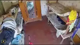 Jimmy here submission