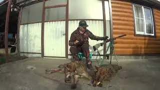 ФАРТОВАЯ НОЧЬ-ВОЛКИ.