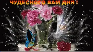 ДОБРОГО ВАМ ДНЯ И ХОРОШЕГО ВАМ НАСТРОЕНИЯ !