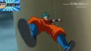Diamante agresivo vs heroico campero