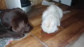Вкуснота