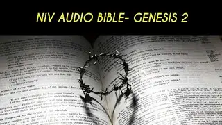 GENESIS 2 NIV AUDIO BIBLE (with text)