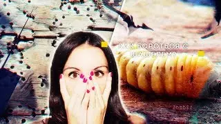 Шашель.нет Как избавиться от шашеля с помощью СВЧ