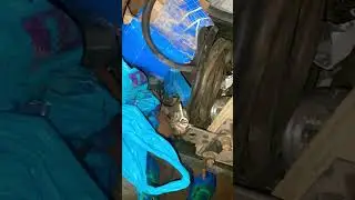 Куча интересных вещей в старом сарае Может надо кому-то что-то?