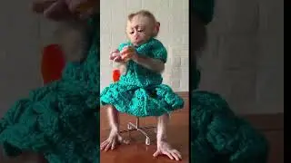 Tina as a child is so cute in her new dress given to her by a fan. 