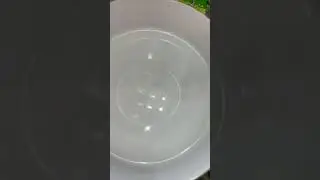 Growing Gummy Candy in Water