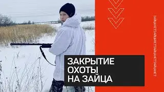 Закрытые сезона охоты