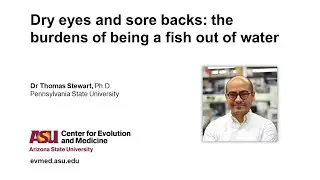 Dr Thomas Stewart - Dry eyes and sore backs : the burdens of being a fish out of water