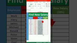 Find Your Salary Increment | Raise Percentage In Salary | MS Excel  