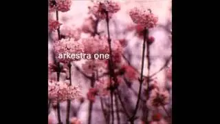 Arkestra One - Train To Machu Pichu