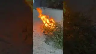 Getting the bonfire going at my birthday party.