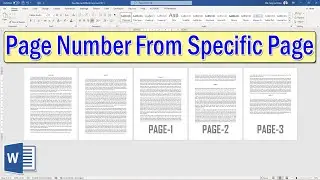 Page Number Starting from a Specific Page in Microsoft Word
