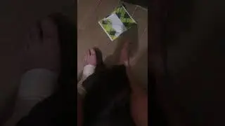 Собака, лечит человека 