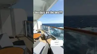 Seadays #shorts #travel #funny