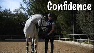 3 Exercises for Confidence with your Horse