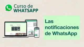 Configura las notificaciones de WhatsApp | Curso de Whatsapp