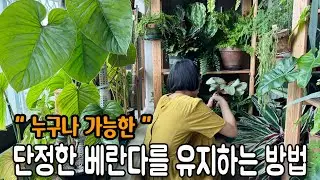 단정한 베란다를 유지하기 위해 지금은 가위를 들어야 해요/ 못생겨진 식물 내치지마세요! 다시 예뻐질 기회를 주세요 / 누구나 예쁜 정원을 가질 수 있어요