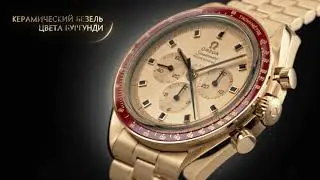 Omega + Академия Времени