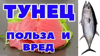 Тунец: польза и вред + сделаем салат из консервированного тунца + стейк тунца с гарниром