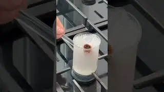 Doğal Oda Kokusu