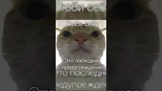 Люби себя | Shorts