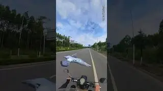 मालिक के मोटरसाइकिल का पिछा करता कबुतर || Pigeon video