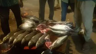 machi bajar